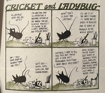 Cricket and Ladybug